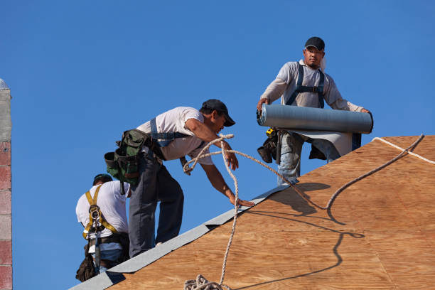 Best Roof Waterproofing Services  in Lake Sconsin, WI