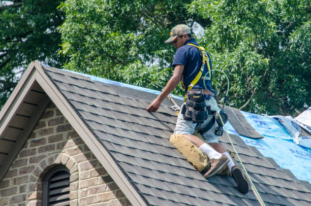 Best Flat Roof Repair Services  in Lake Sconsin, WI